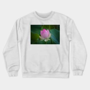 The Water Lily Crewneck Sweatshirt